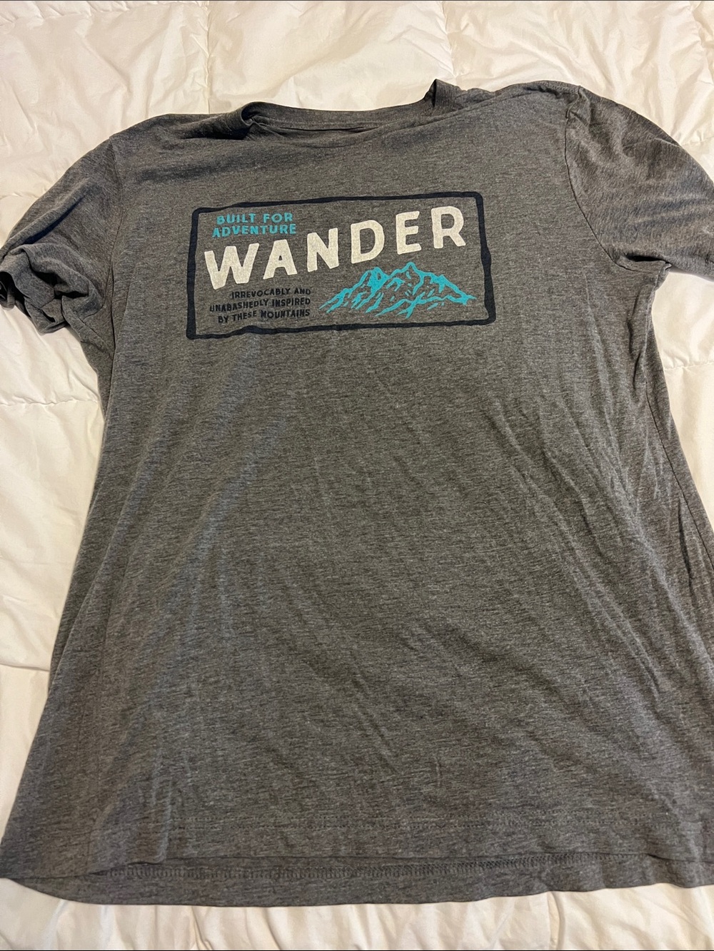 Wander Mountains Men's Short-Sleeve Graphic Tee in Gray with Teal Accent